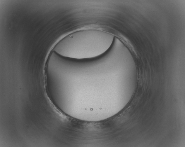 X0000074230808200608250815