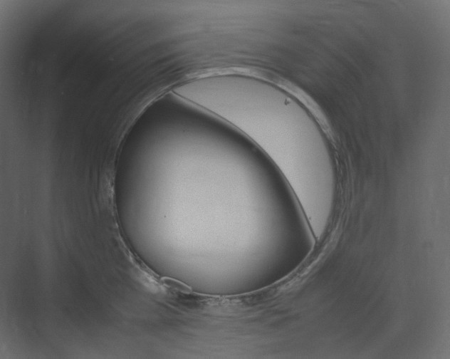 X0000074230809200608250815