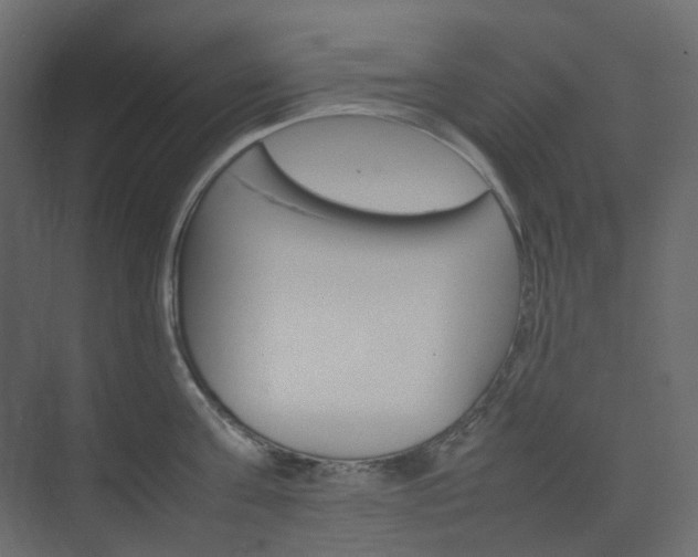 X0000074230811200608250815