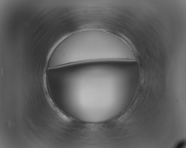 X0000074230812200608250815
