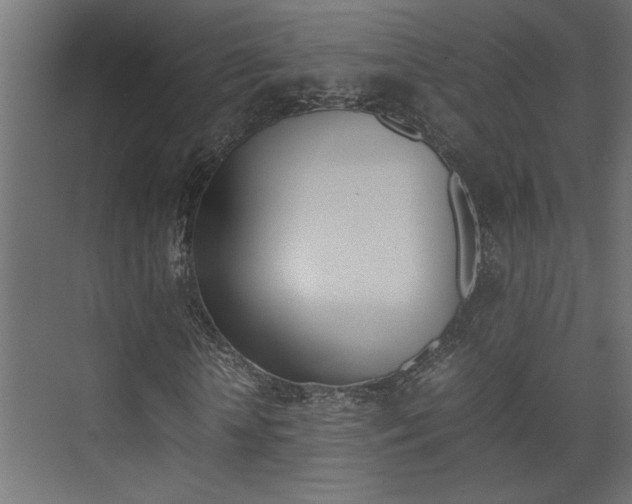 X0000074230818200608250814