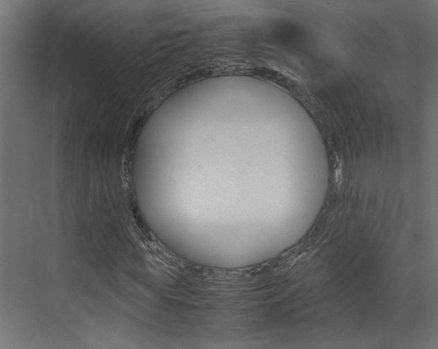 X0000074230819200608250814