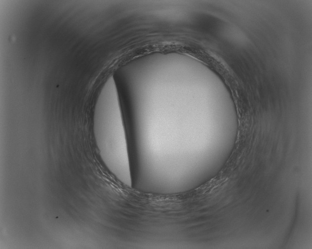 X0000074230823200608250814