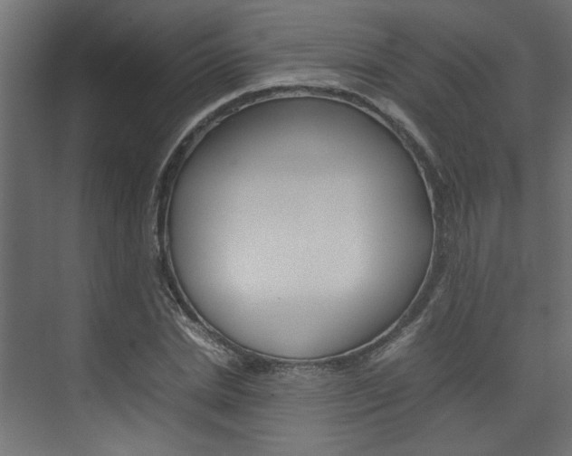 X0000074230830200608250814