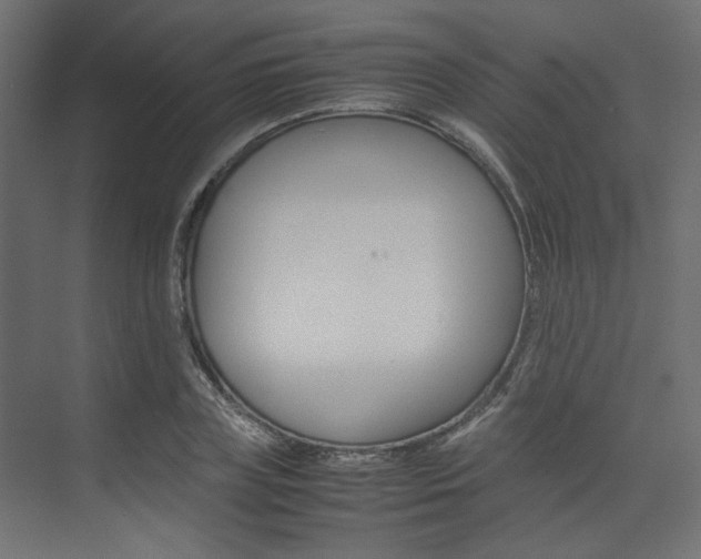 X0000074230835200608250814