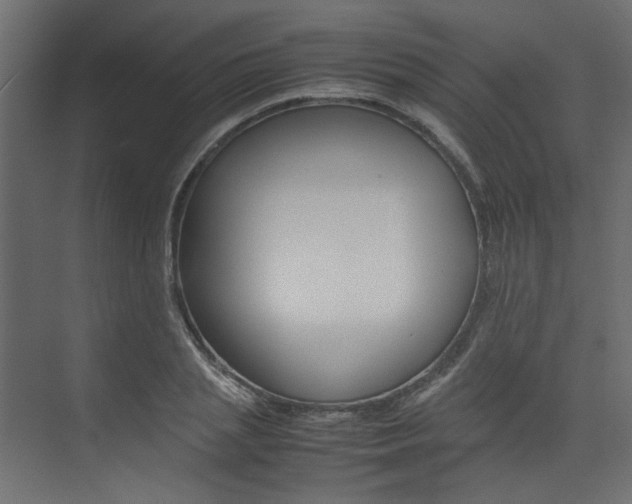 X0000074230837200608250814