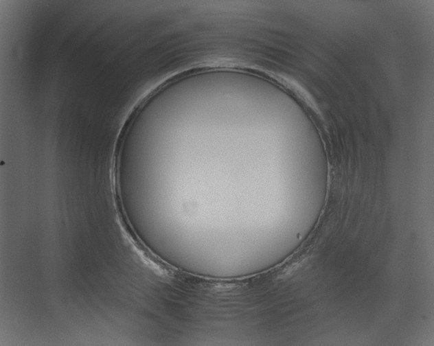 X0000074230839200608250814