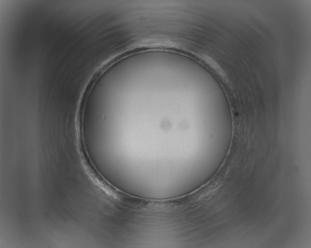X0000074230840200608250814