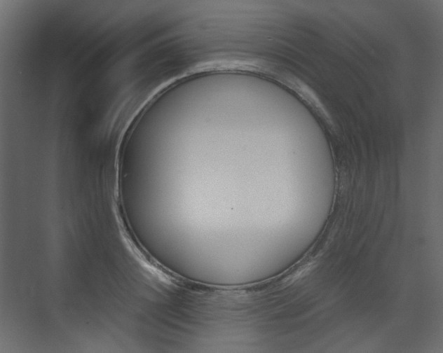 X0000074230844200608250814