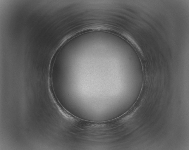 X0000074230845200608250814