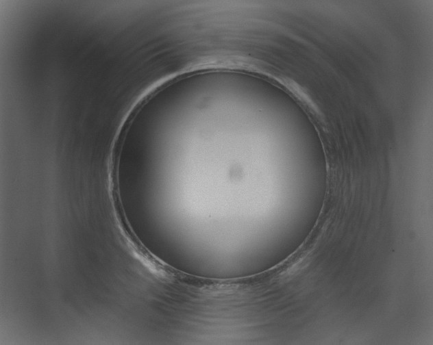 X0000074230846200608250814