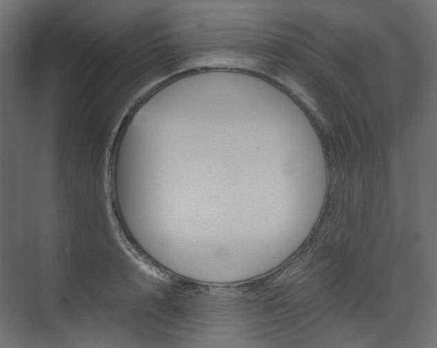 X0000074230848200608250814