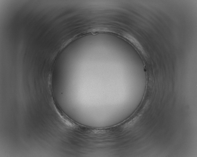 X0000074230849200608250814