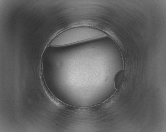 X0000074230850200608250814