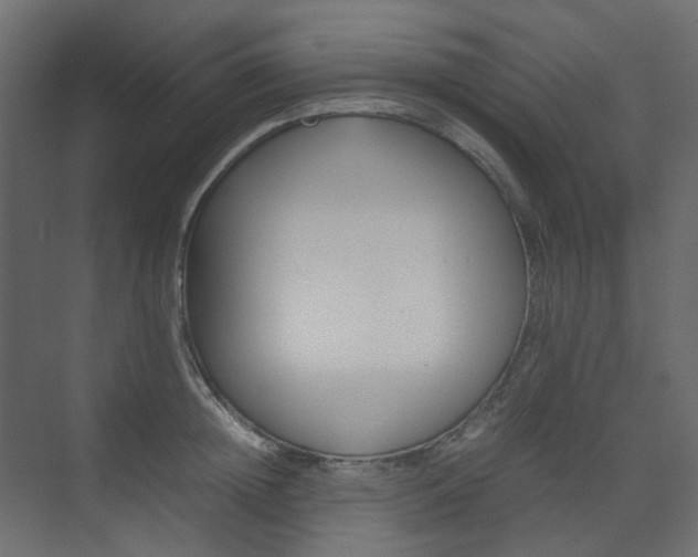 X0000074230852200608250814