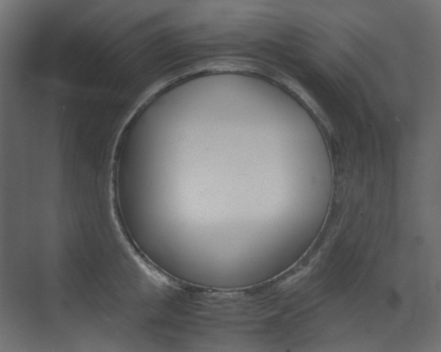 X0000074230853200608250814