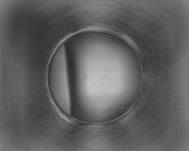 X0000074230854200608250814