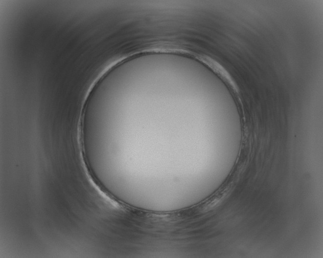 X0000074230855200608250814