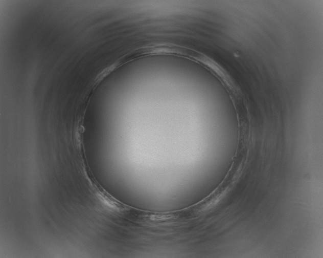 X0000074230857200608250814