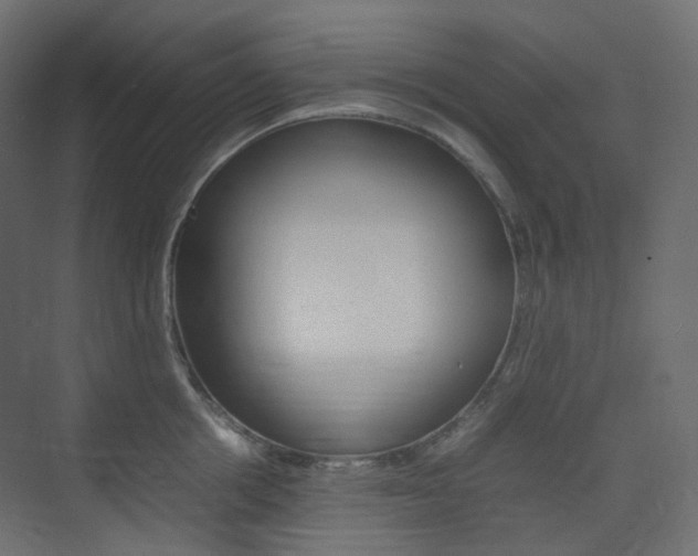 X0000074230858200608250814