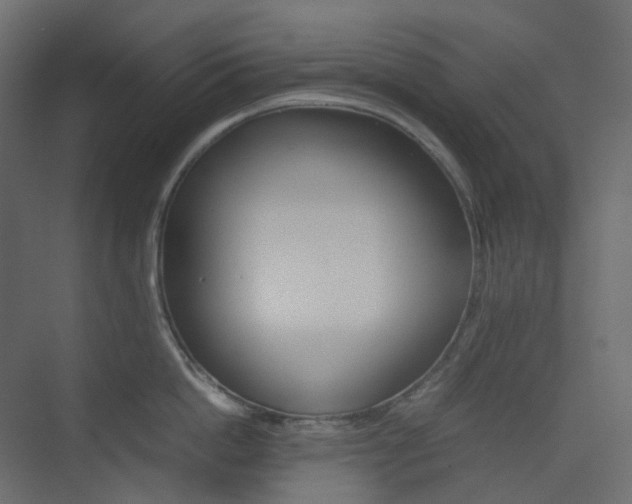 X0000074230862200608250814