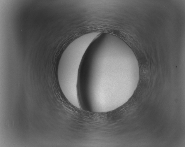 X0000074230865200608250814