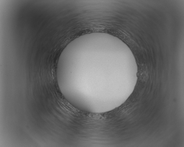 X0000074230866200608250814