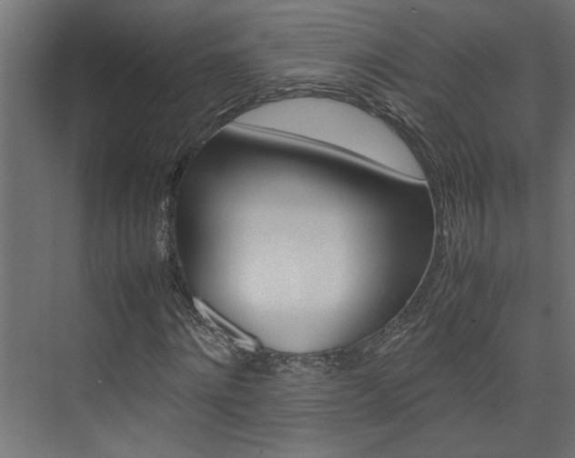 X0000074230868200608250814