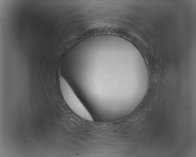 X0000074230869200608250814
