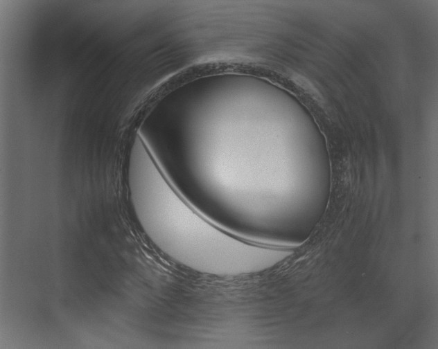 X0000074230872200608250814