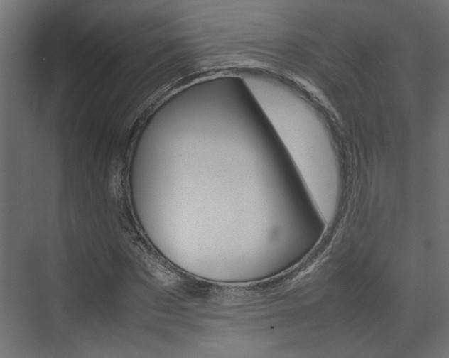 X0000074230873200608250814
