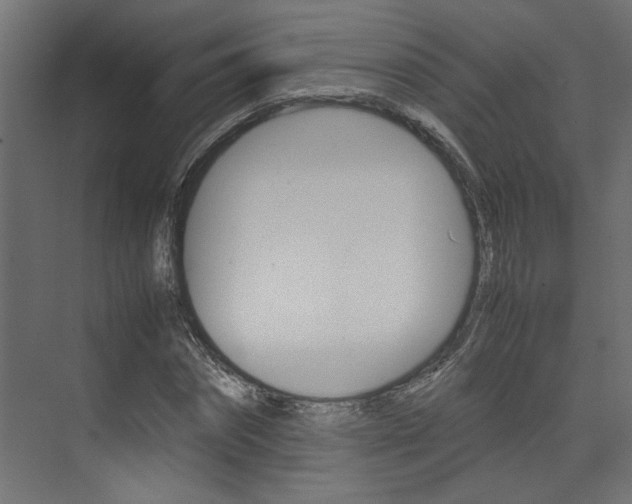 X0000074230874200608250814