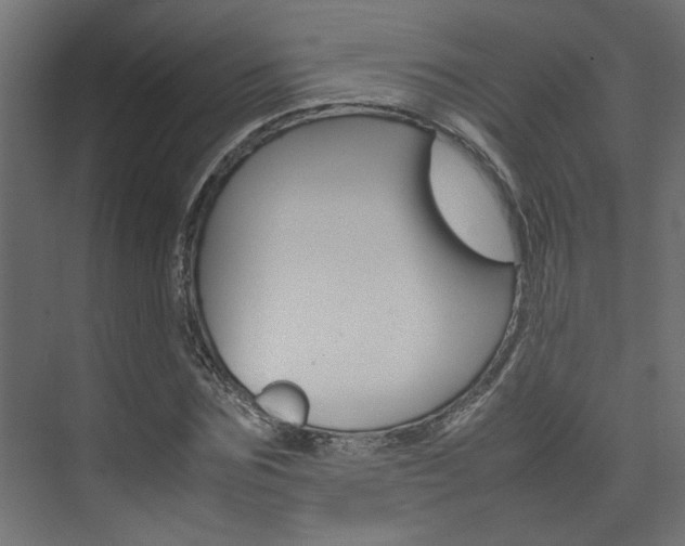 X0000074230875200608250814