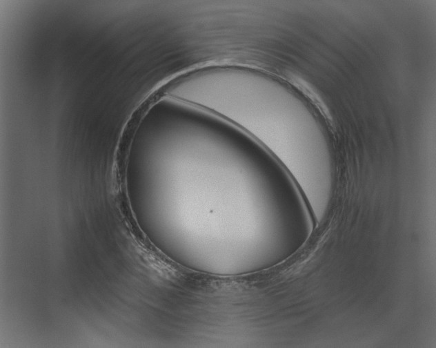 X0000074230876200608250813