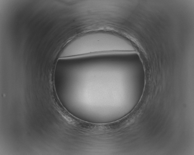 X0000074230881200608250813
