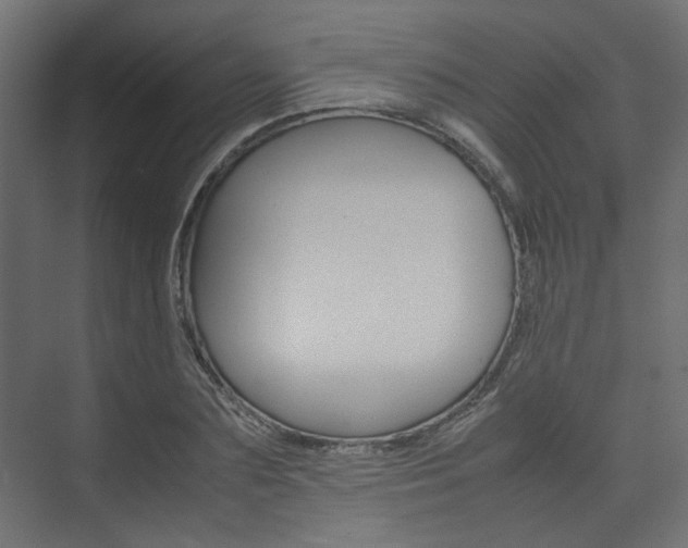 X0000074230883200608250813