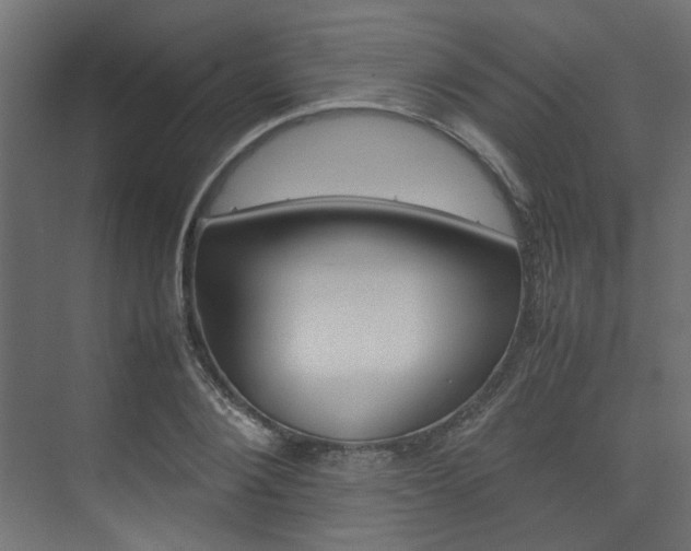 X0000074230884200608250813