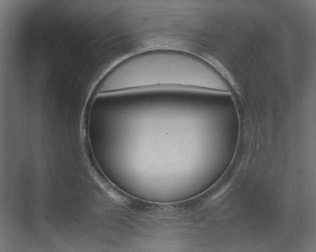 X0000074230885200608250813