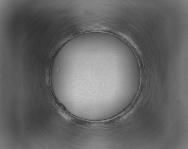 X0000074230889200608250813