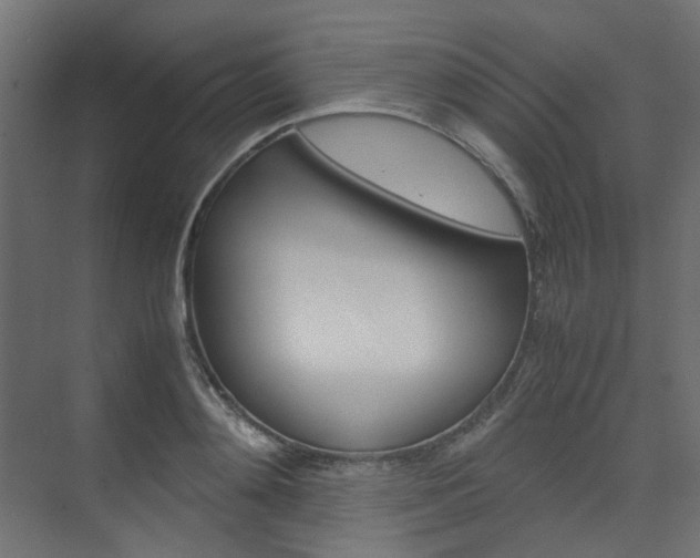 X0000074230892200608250813