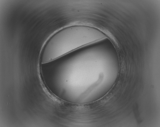 X0000074230896200608250813