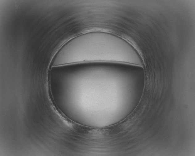 X0000074230898200608250813