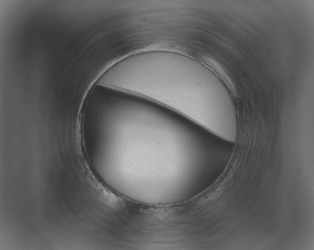 X0000074230900200608250813
