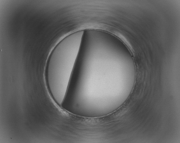 X0000074230901200608250813