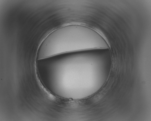 X0000074230906200608250813