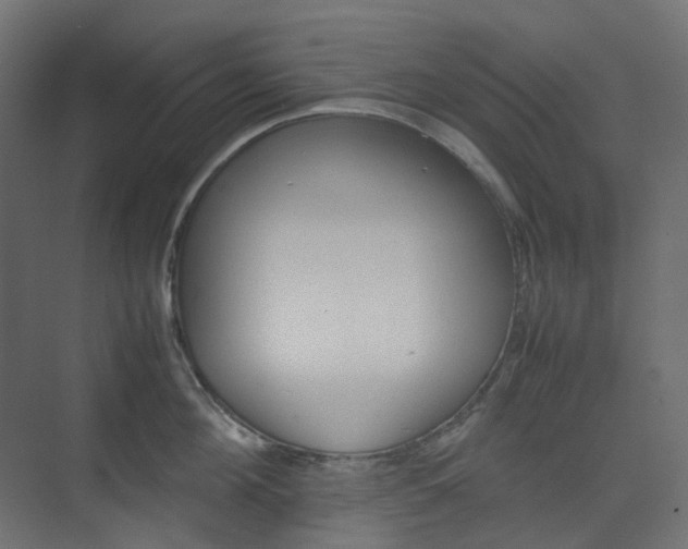 X0000074230908200608250813