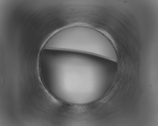 X0000074230910200608250813