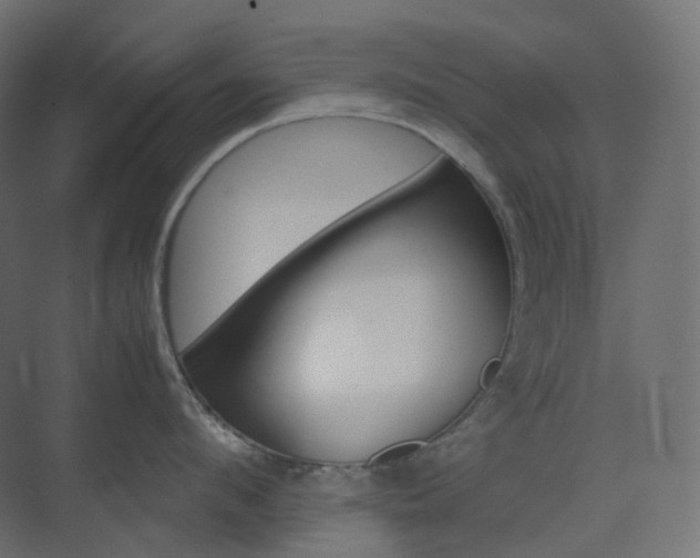 X0000074230912200608250813