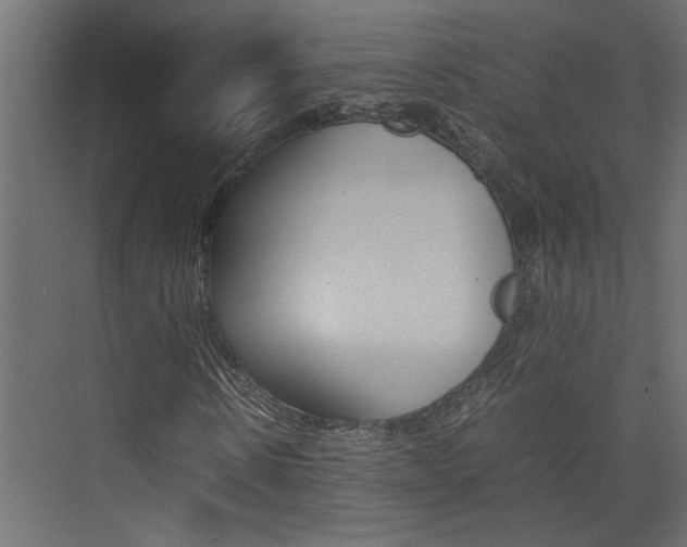 X0000074230914200608250812