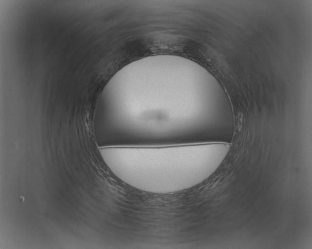 X0000074230915200608250812